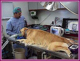 Endoscopy Procedure