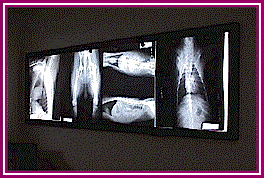 Radiology