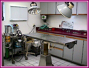 Surgical Suite