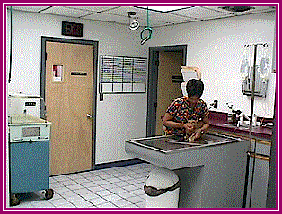 Treatment Area