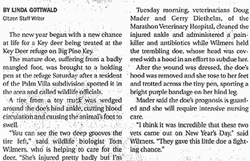 New from Marathon Vet Hospital